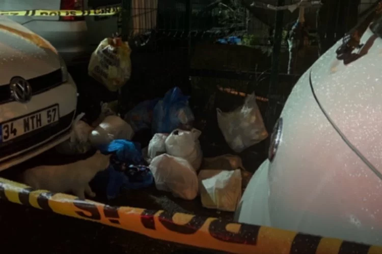İstanbul'da hayrete düşüren olay: Çöp konteynerinde...