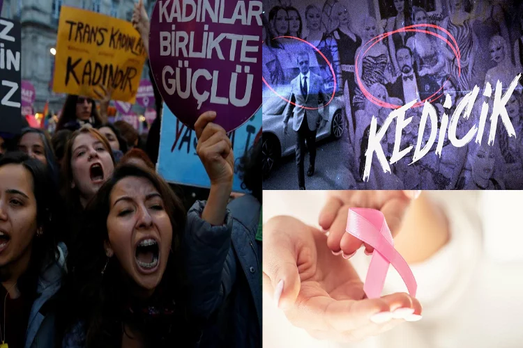 SES’in kadın gündemi: ‘Kedicik’ belgeseli, İstanbul Sözleşmesi ve kanser