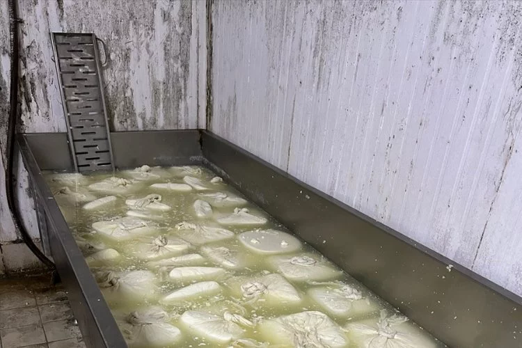 İzmir'deki işletmede skandal! 20 ton tarihi geçmiş peynir imha edildi