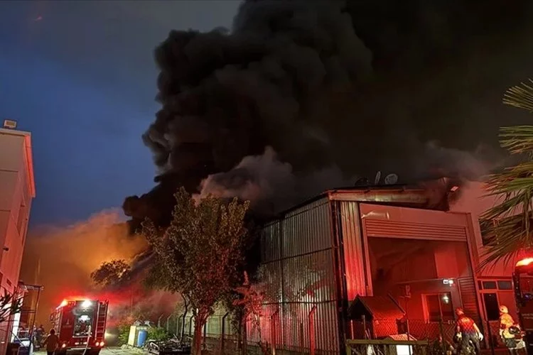 İzmir Haber: Atatürk Organize Sanayi Bölgesi'nde yangın çıktı