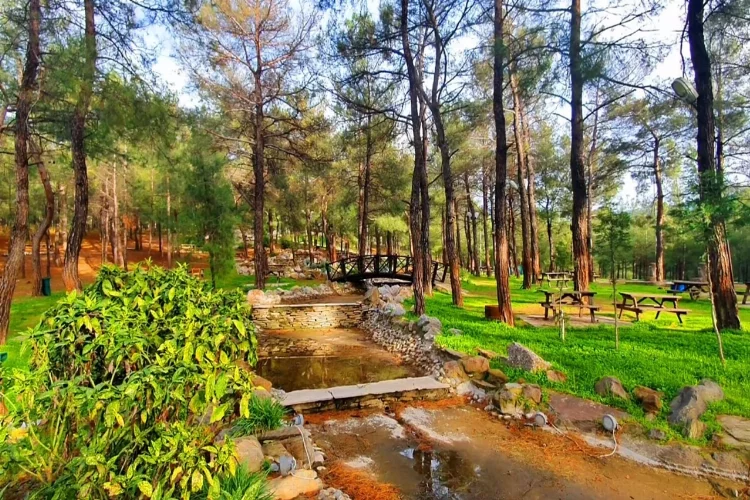 İzmir'in en iyi 10 piknik alanı