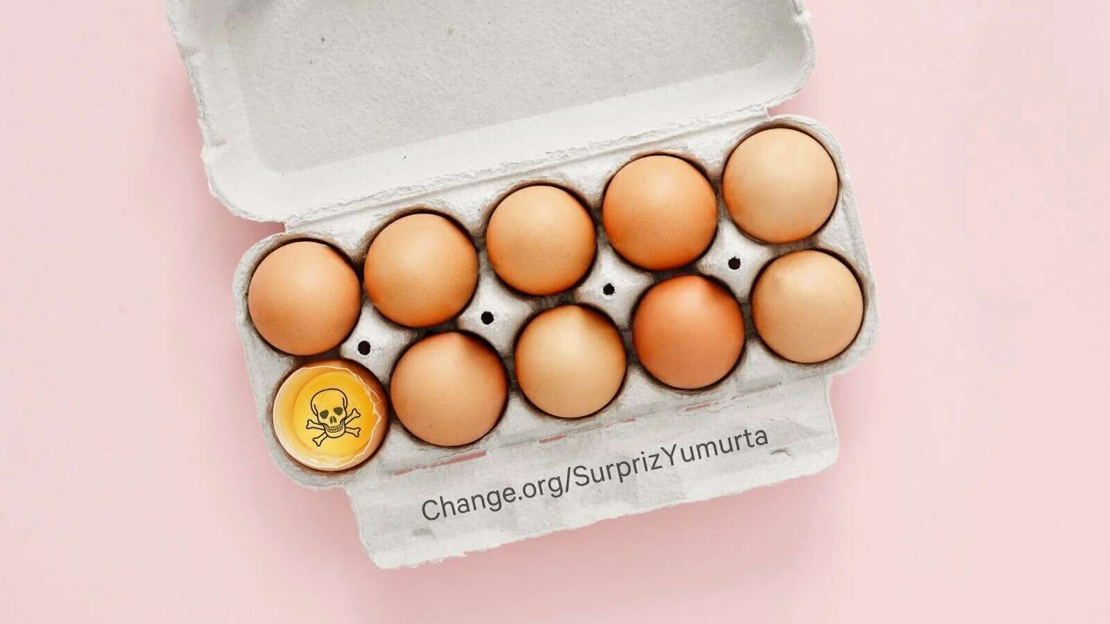 yumurta kampanyası
