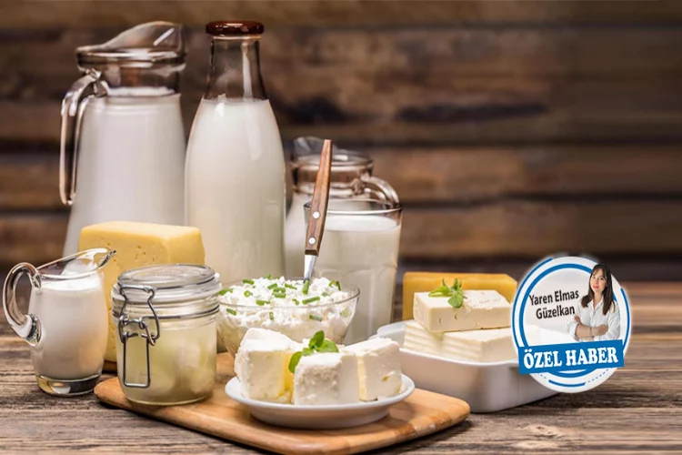 Koçal: Türkiye’de süt tüketim açığı olacak