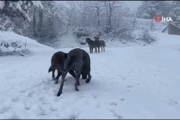 Karabük'e bahar ayında kar sürprizi