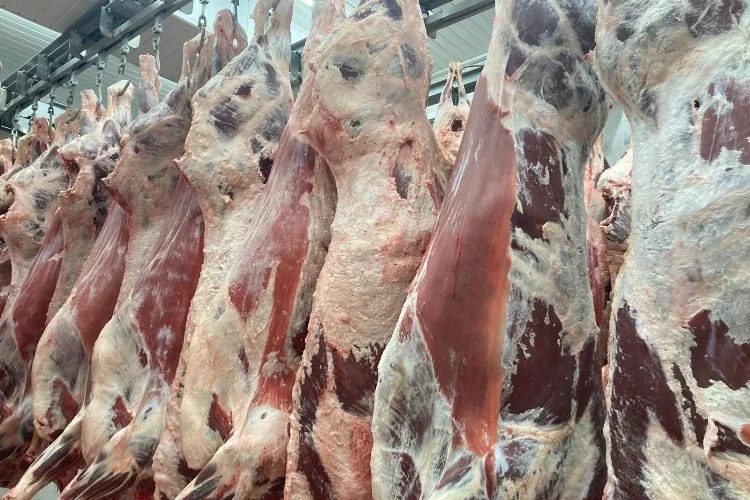 Karkas et kesim fiyatları durdurulamıyor