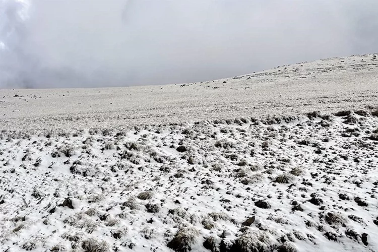 Kars ve Ardahan'da kar başladı!