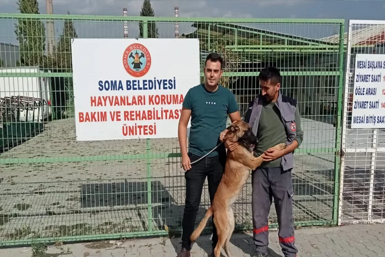 İzmir'de kaybolan köpeğin Manisa seyahati