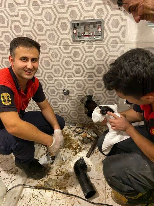 Muğla’nın Bodrum ilçesinde otel tuvaletinin gider borusunda mahsur kalan yavru kedi, görüntüleme cihazı yardımıyla kurtarıldı.
