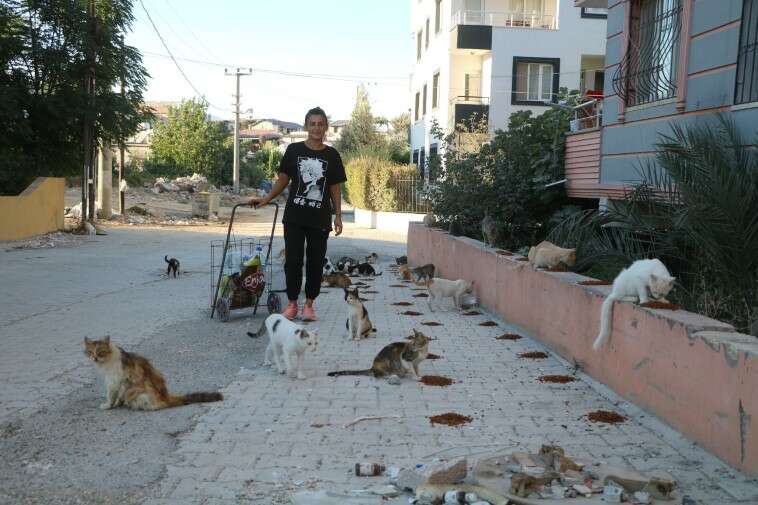 Sabina Günaydın, enkaza dönen kentin ıssız sokaklarında yaklaşık 200 kediye, aylık 10 bin TL harcama yaparak kendi deyimiyle ‘annelik’ yapıyor