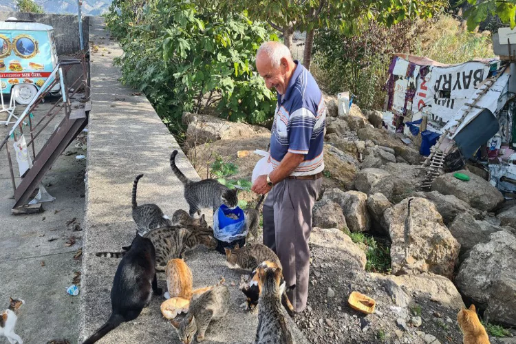 Zonguldak’ta emekli işçi 100 kedinin dedesi oldu
