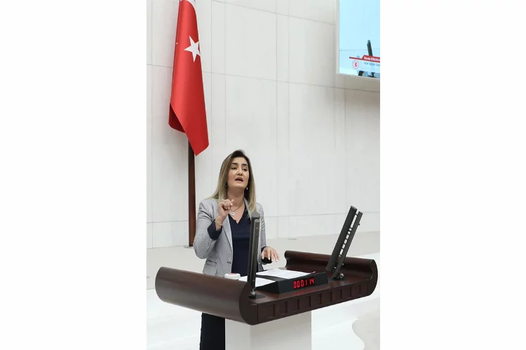 CHP’li Kılıç’tan Cumhurbaşkanı Erdoğan’ın anayasa çağrısına tepki