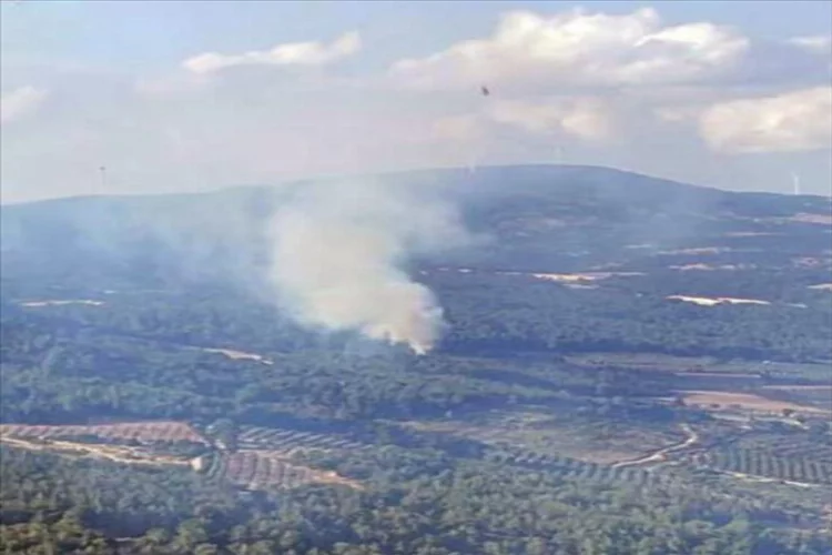 Manisa Kırkağaç'ta orman yangını