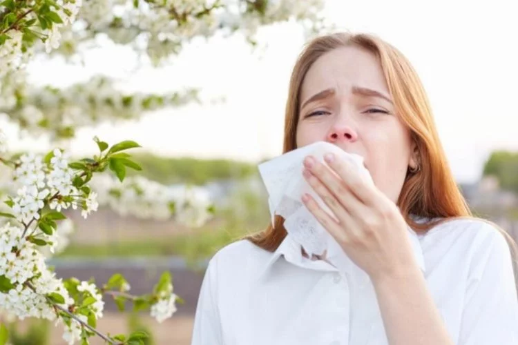 Kış bitiyor, bahar alerjisi geliyor! Bahar alerjisi nedir, belirtileri nelerdir?