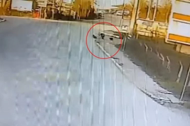 Kocaeli’de okula giden çocuğa 2 köpek saldırdı