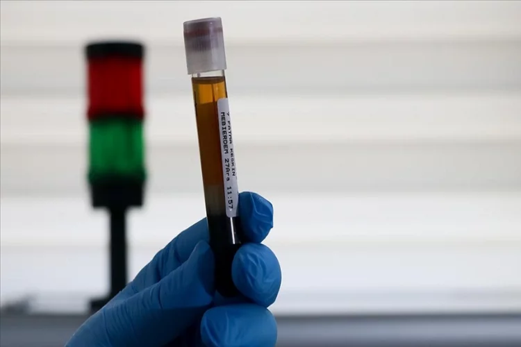 Kök hücre bağışçısı 940 bin kişi genetik ikizini arıyor