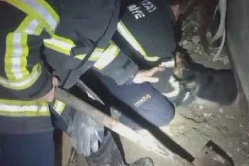 Konteynerin altında sıkışan köpek böyle kurtarıldı