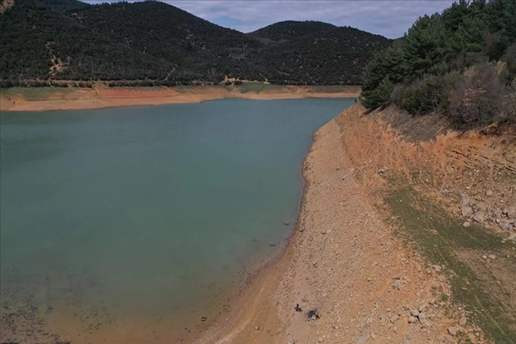 Kuraklık alarmı: Türkiye'nin su varlığını ve biyoçeşitliliğini tehdit ediyor