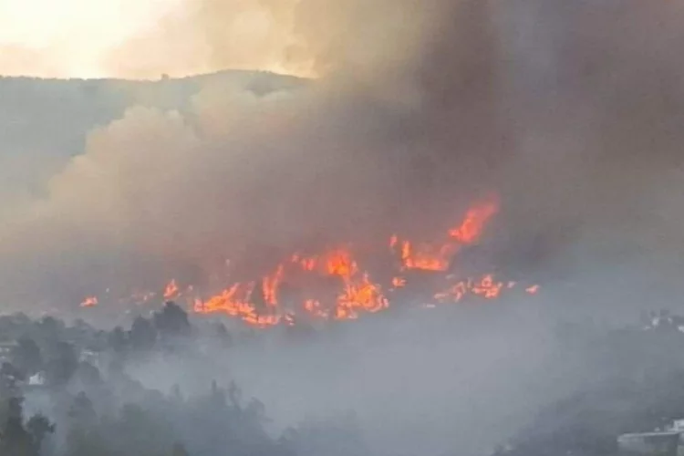 İspanya'nın La Palma Adası’nda yangın