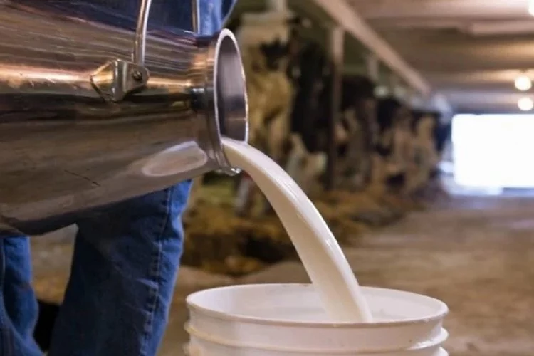 Maliyet artışları süt üretimini vurdu