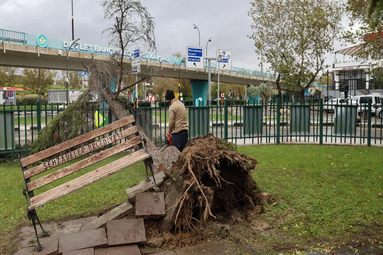 Manisa'da fırtına: Çok sayıda ağaç devrildi