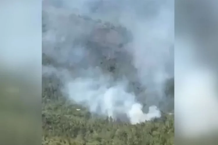 Muğla Köyceğiz'de ormanlık alanda yangın çıktı