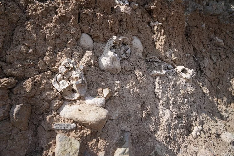 Niğde'de dinozor fosili iddiası: Oluşumlar traverten yumru çıktı