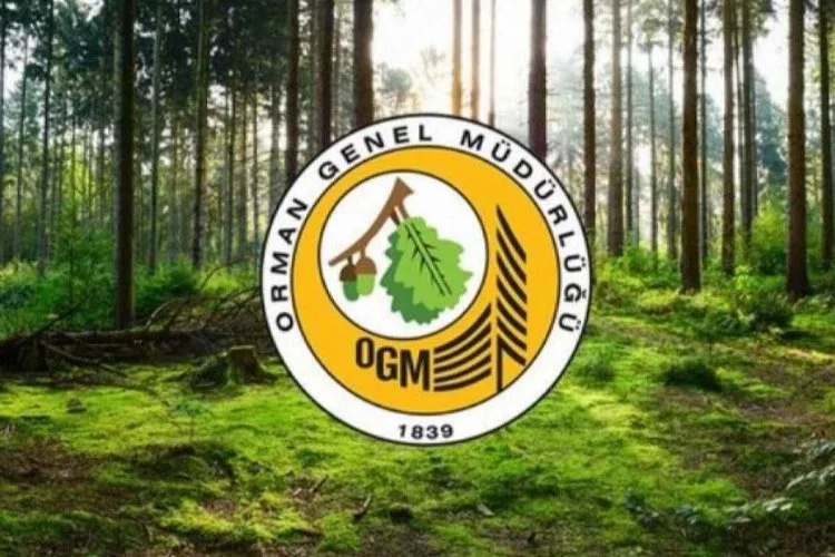 OGM personel alımı: Orman Genel Müdürlüğü’ne 64 işçi alınacak