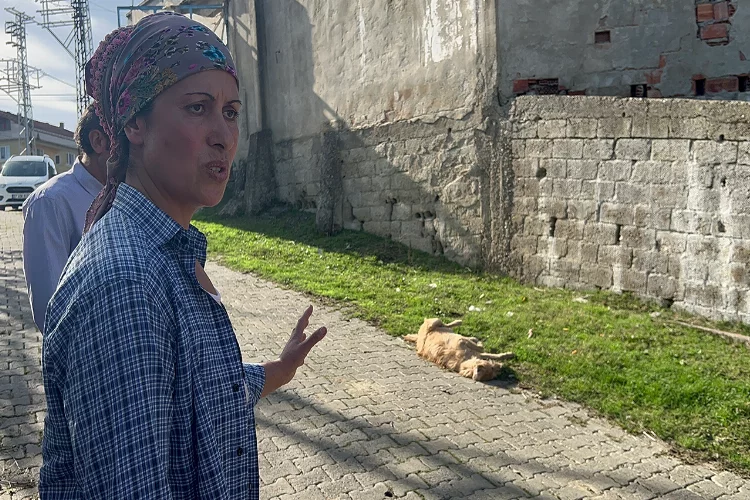 Zonguldak’ta beslediği köpeği darp edilerek öldürüldü