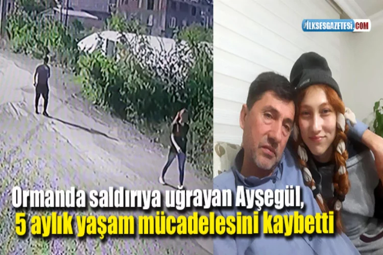 Ormanda saldırıya uğrayan Ayşegül, 5 aylık yaşam mücadelesini kaybetti