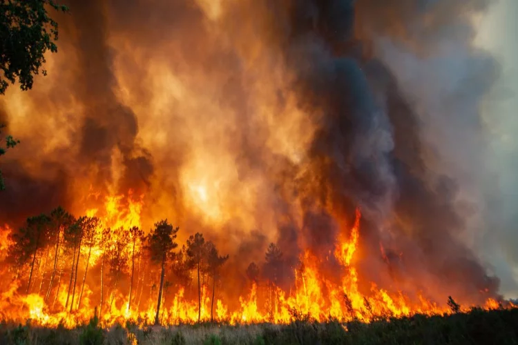 Kınık'ta çıkan orman yangınına ilişkin iddia