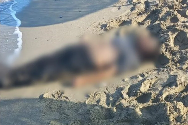 Halk plajında korkunç görüntü: Erkek cesedi bulundu         