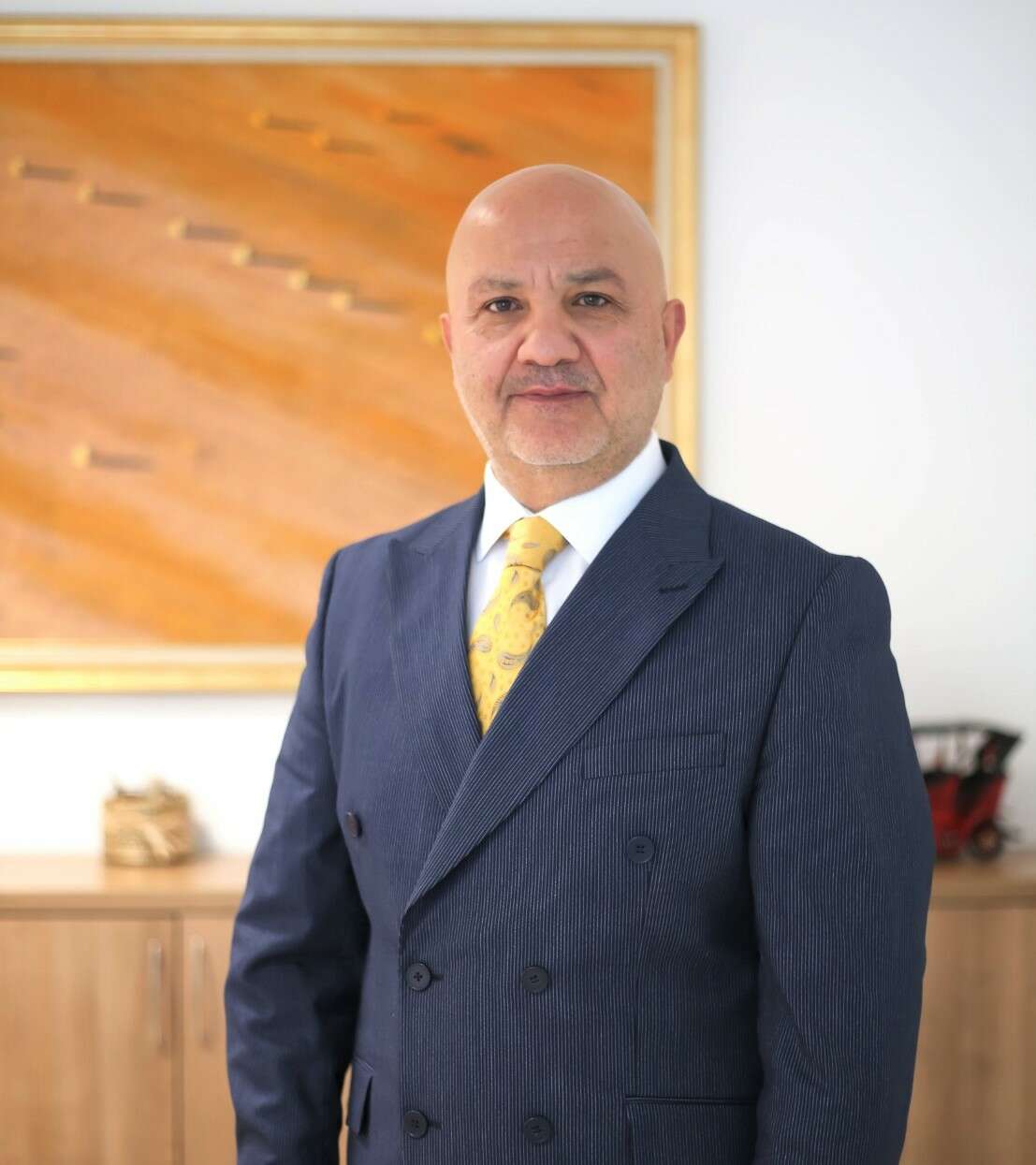Prof. Dr. Tamer Şanlıdağ