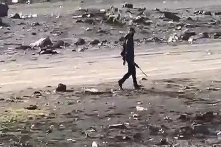 İstanbul'da leylekleri vurdular