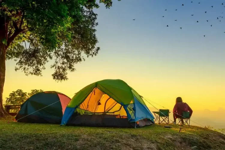 İzmir'de sessiz ve sakin 7 kamp alanı
