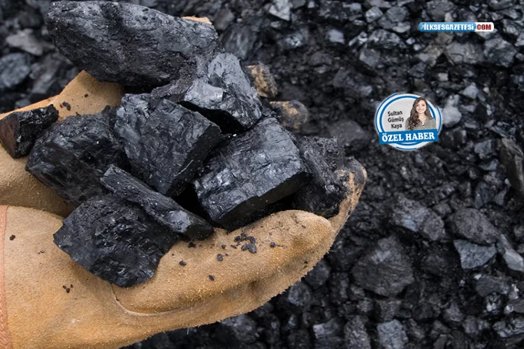 İzmir’de hava ‘kömür’ karası: “Yüzde 90’ı kaçak”