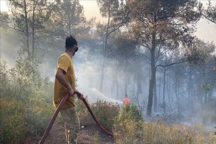Orman yangınları soruşturmasında 7 şüpheli tespit edildi