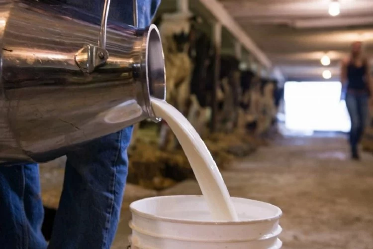 Süt üreticileri zarar ediyor