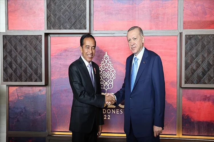 Cumhurbaşkanı Erdoğan, Joko Widodo ile görüştü 