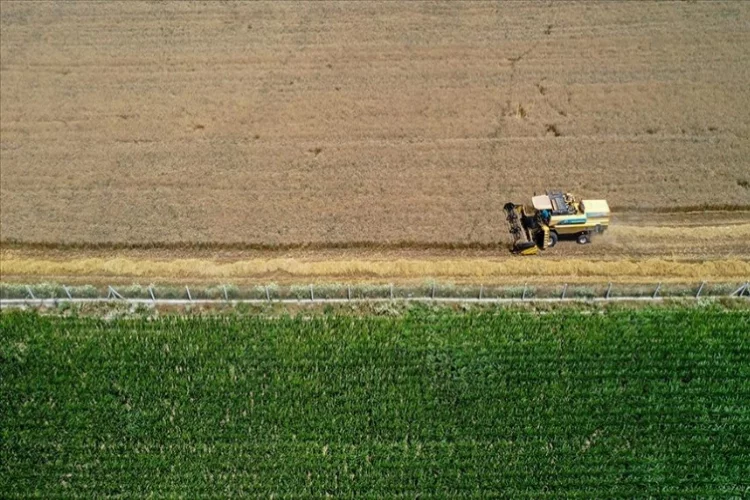 Tarım sektöründen ihracatta rekor yükseliş