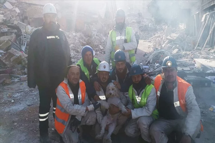 Hatay'da depremde hasar gören binada mahsur kalan köpeği madenciler kurtardı