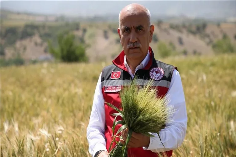 Bakan Kirişci "Buğdayda 21 milyon ton rekolte bekliyoruz"