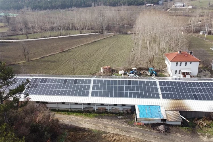 Bolu'da tavuk üreticileri elektrik ihtiyacını güneş enerjisinden karşılıyor