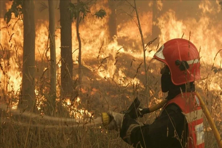 İspanya'da yangın: 4 bin 600 hektarlık alanı kül oldu
