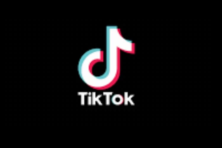 TikTok CEO’sundan ABD 'deki TikTok yasağı ile ilgili kritik açıklama