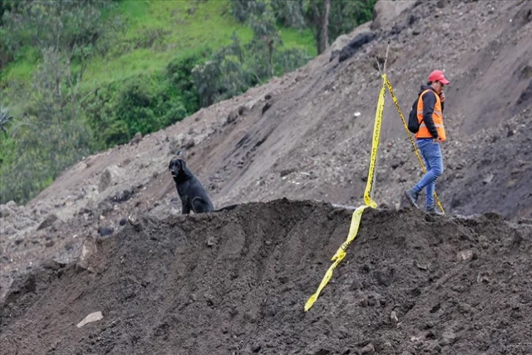 Ekvador'da toprak kayması: Ölenlerin sayısı yükseliyor