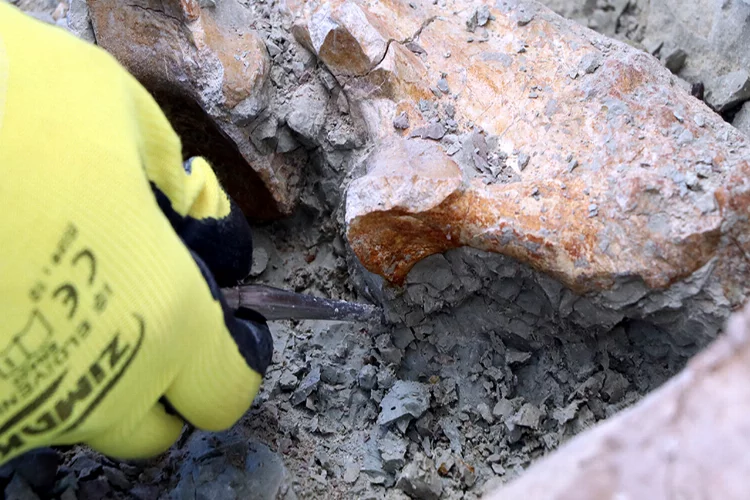 Çankırı'da 10 milyon yıllık fosil hazinesi