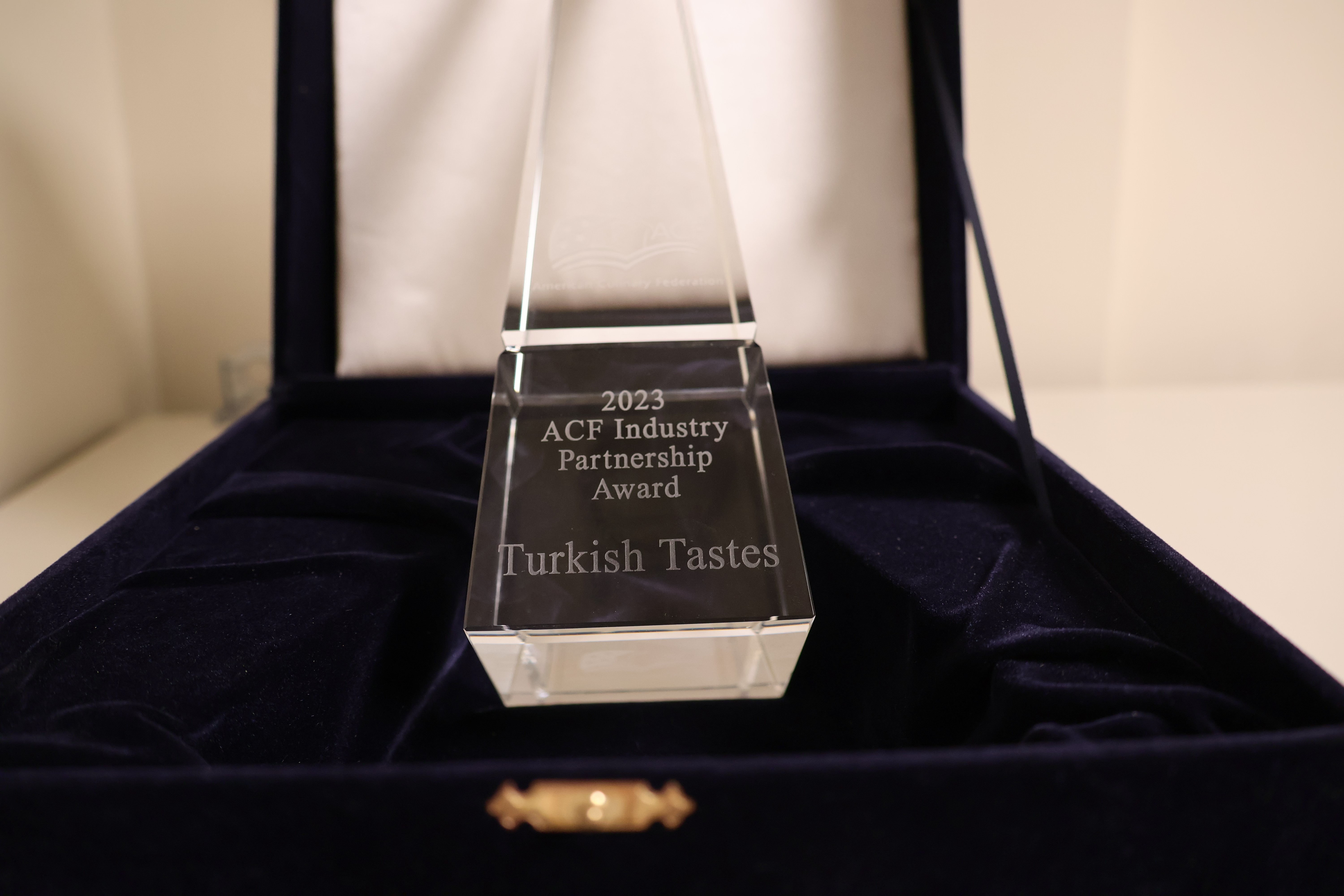 Turkish Tastes ABD’de ilk ödülünü aldı (3)
