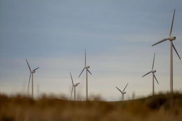 Türkiye'nin rüzgar enerjisi sektörü Almanya'ya çıkartma yapacak