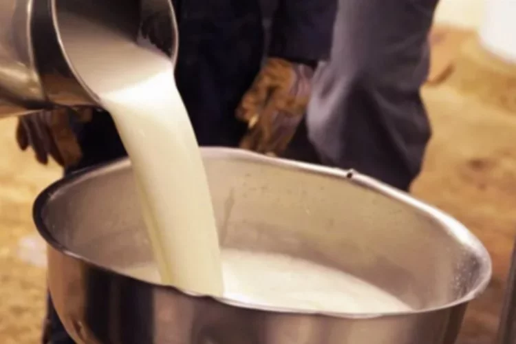 Ulusal Süt Konseyi’ne göre 1 litre sütün maliyetinde artış oldu! Çiğ süt maliyetindeki artışlar açıklandı!