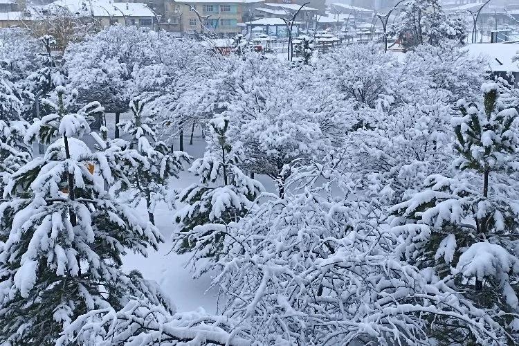 Van’da kar yağışı şehri beyaza bürüdü